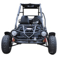 Off Road Gas/Benzin 150cc 2 Sitz-Düne-Buggy